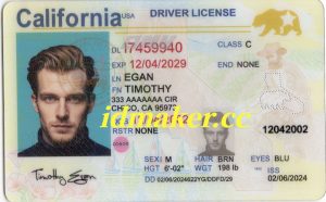 California Fake ID