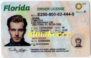 Florida Fake ID
