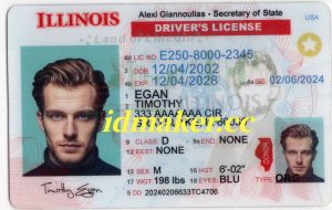 Illinois Fake ID