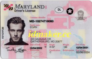 Maryland Fake ID
