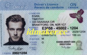 Ontario Fake ID