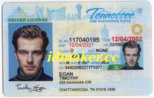 Tennessee Fake ID