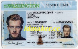 Washington Fake ID