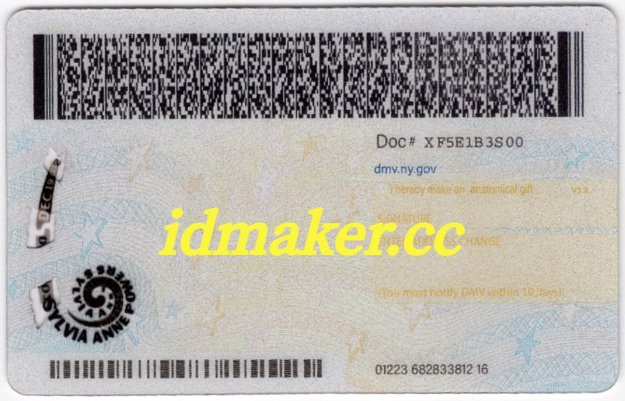 New York Fake ID(New) - 图片 2
