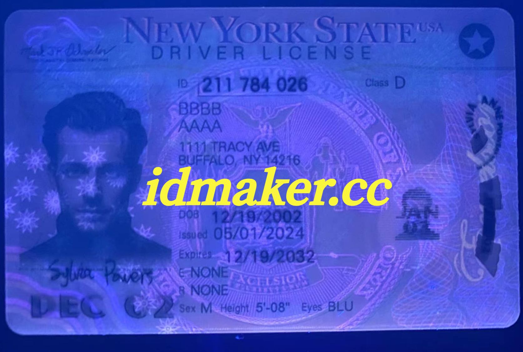 New York Fake ID(New) - 图片 3
